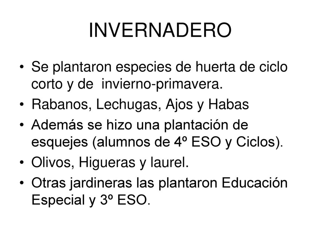 INVERNADERO Se plantaron especies de huerta de ciclo corto y de invierno-primavera. Rabanos, Lechugas, Ajos y Habas.