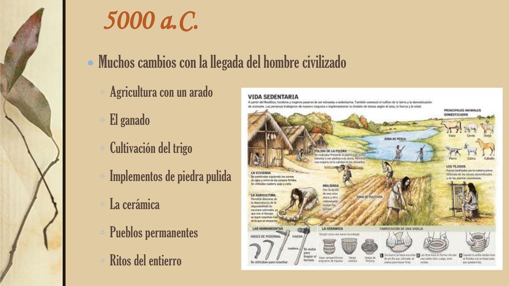 5000 a.C. Muchos cambios con la llegada del hombre civilizado