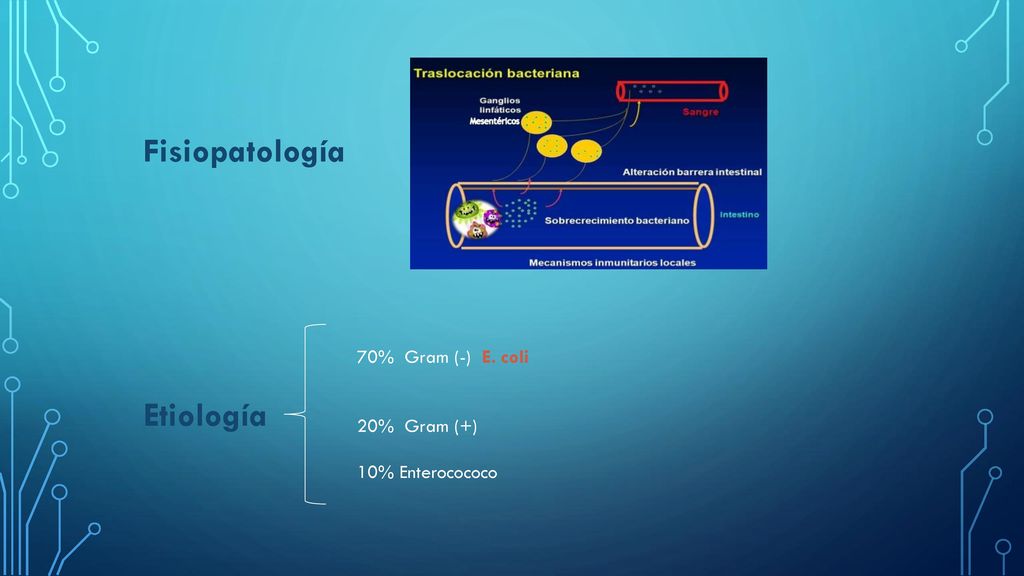 Fisiopatología Etiología 70% Gram (-) E. coli 20% Gram (+)