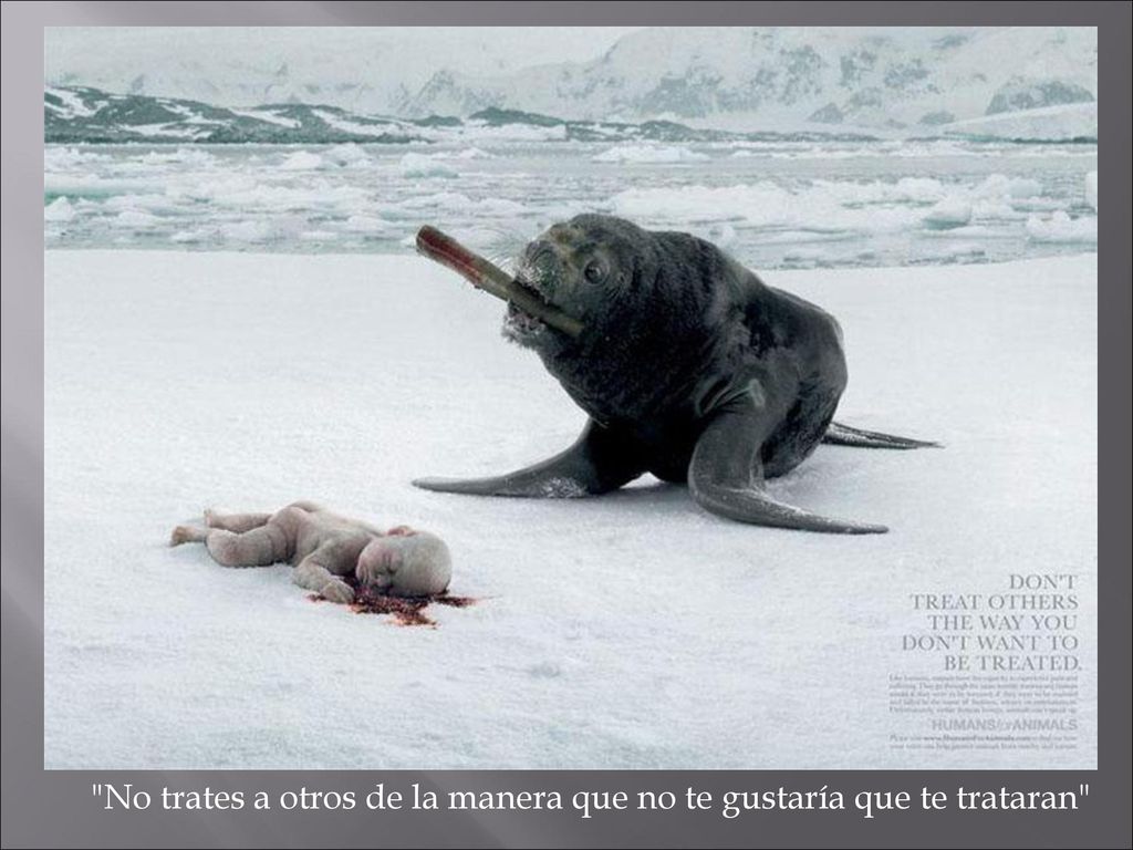 No trates a otros de la manera que no te gustaría que te trataran