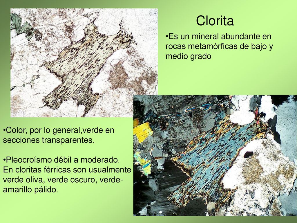 Clorita Es un mineral abundante en rocas metamórficas de bajo y medio grado. Color, por lo general,verde en secciones transparentes.