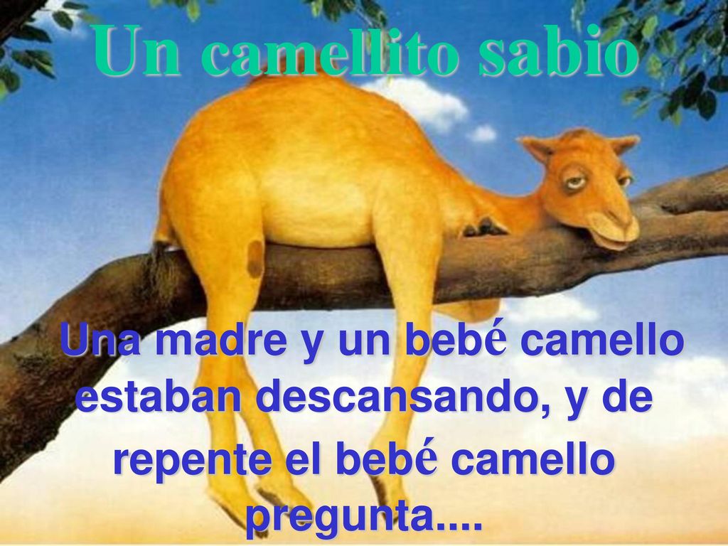 Un camellito sabio Una madre y un bebé camello estaban descansando, y de repente el bebé camello pregunta....