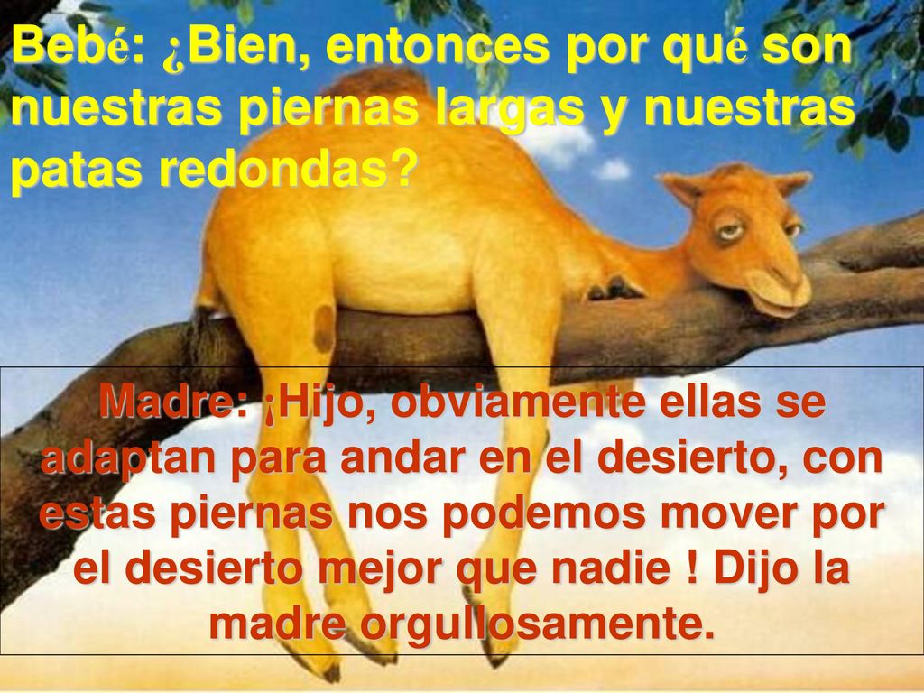 Bebé: ¿Bien, entonces por qué son nuestras piernas largas y nuestras patas redondas
