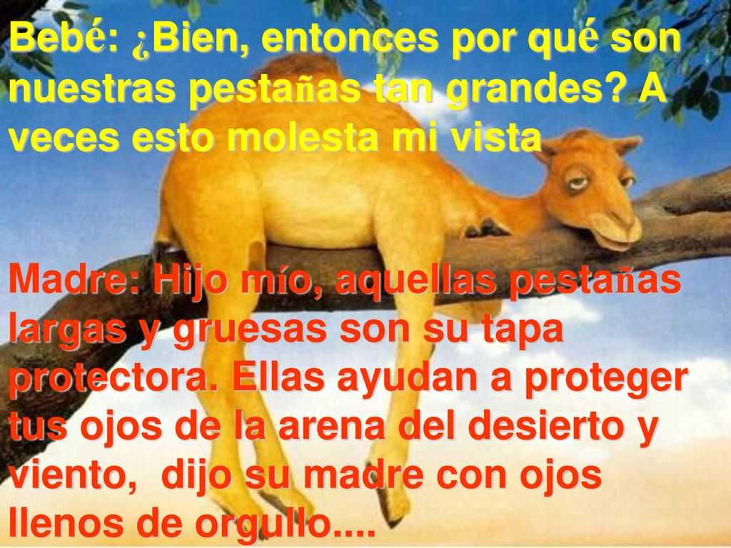 Bebé: ¿Bien, entonces por qué son nuestras pestañas tan grandes