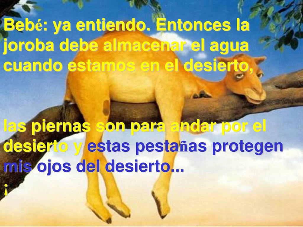 Bebé: ya entiendo. Entonces la joroba debe almacenar el agua cuando estamos en el desierto,