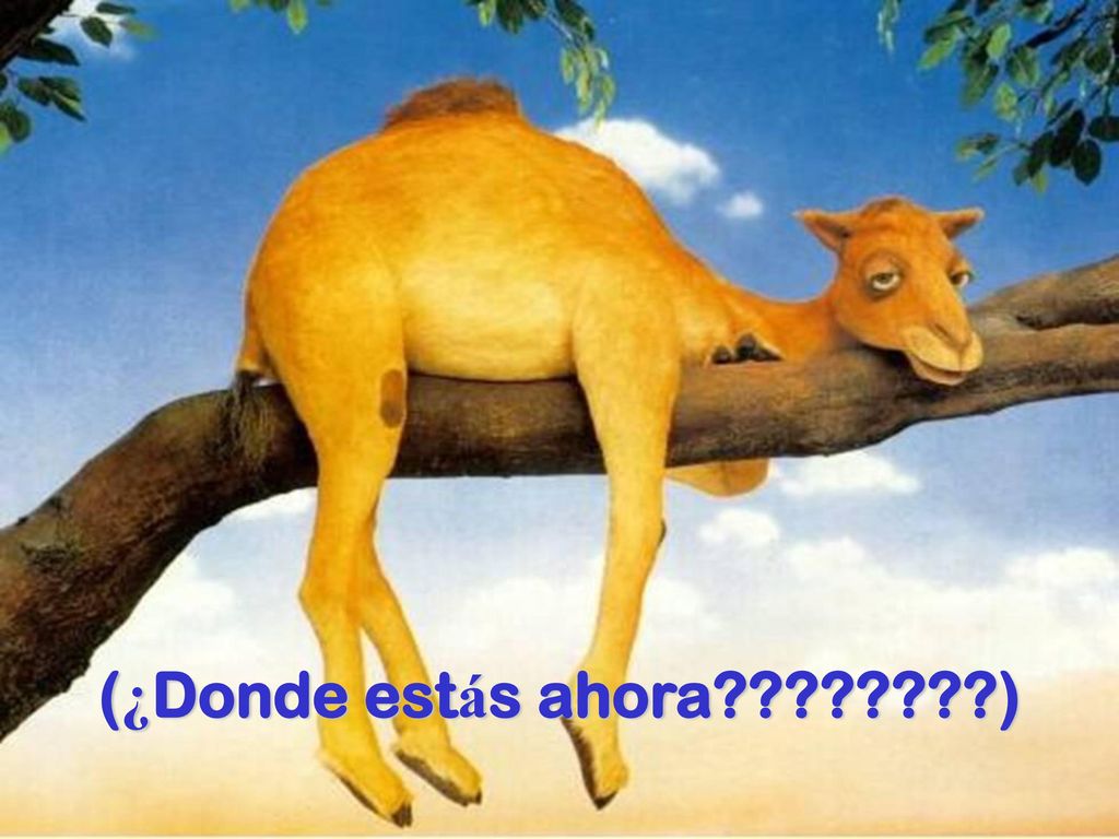 (¿Donde estás ahora )