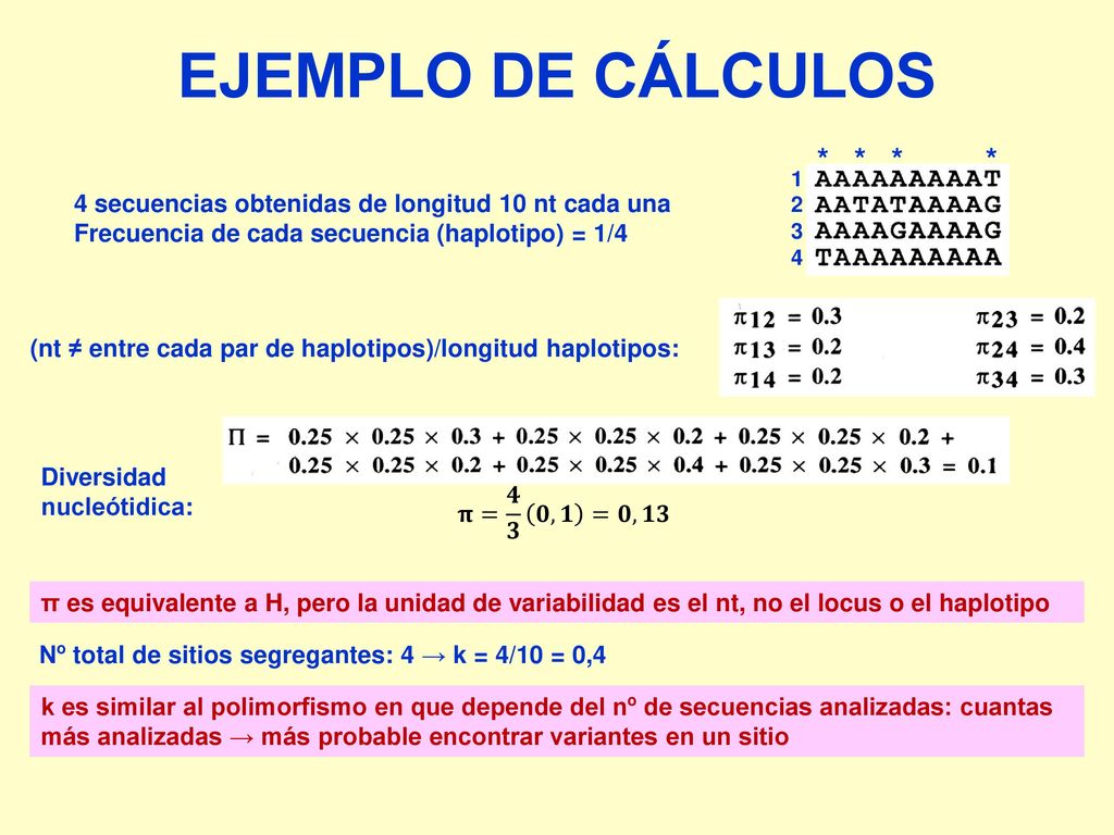 EJEMPLO DE CÁLCULOS * secuencias obtenidas de longitud 10 nt cada una. Frecuencia de cada secuencia (haplotipo) = 1/4.