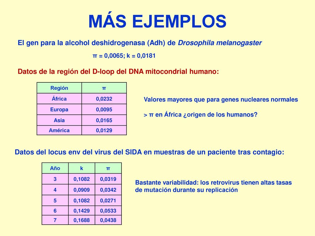 MÁS EJEMPLOS El gen para la alcohol deshidrogenasa (Adh) de Drosophila melanogaster. π = 0,0065; k = 0,0181.