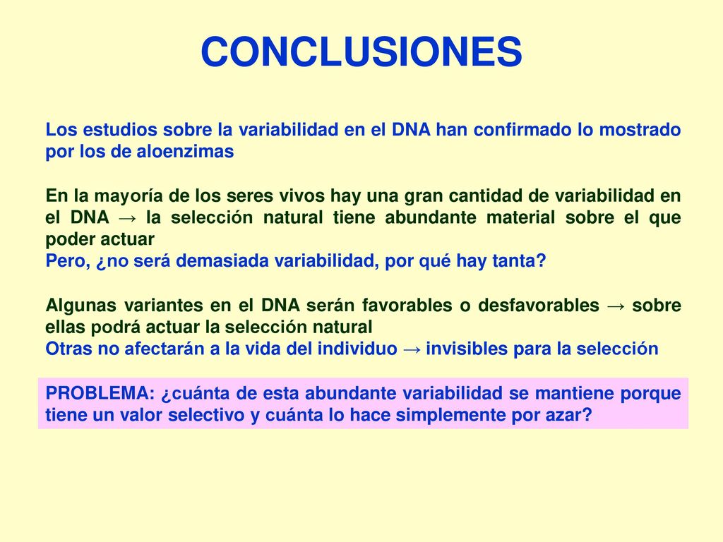 CONCLUSIONES Los estudios sobre la variabilidad en el DNA han confirmado lo mostrado por los de aloenzimas.