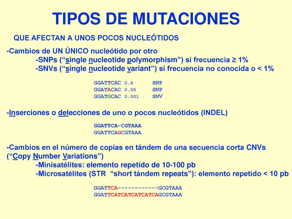 TIPOS DE MUTACIONES QUE AFECTAN A UNOS POCOS NUCLEÓTIDOS