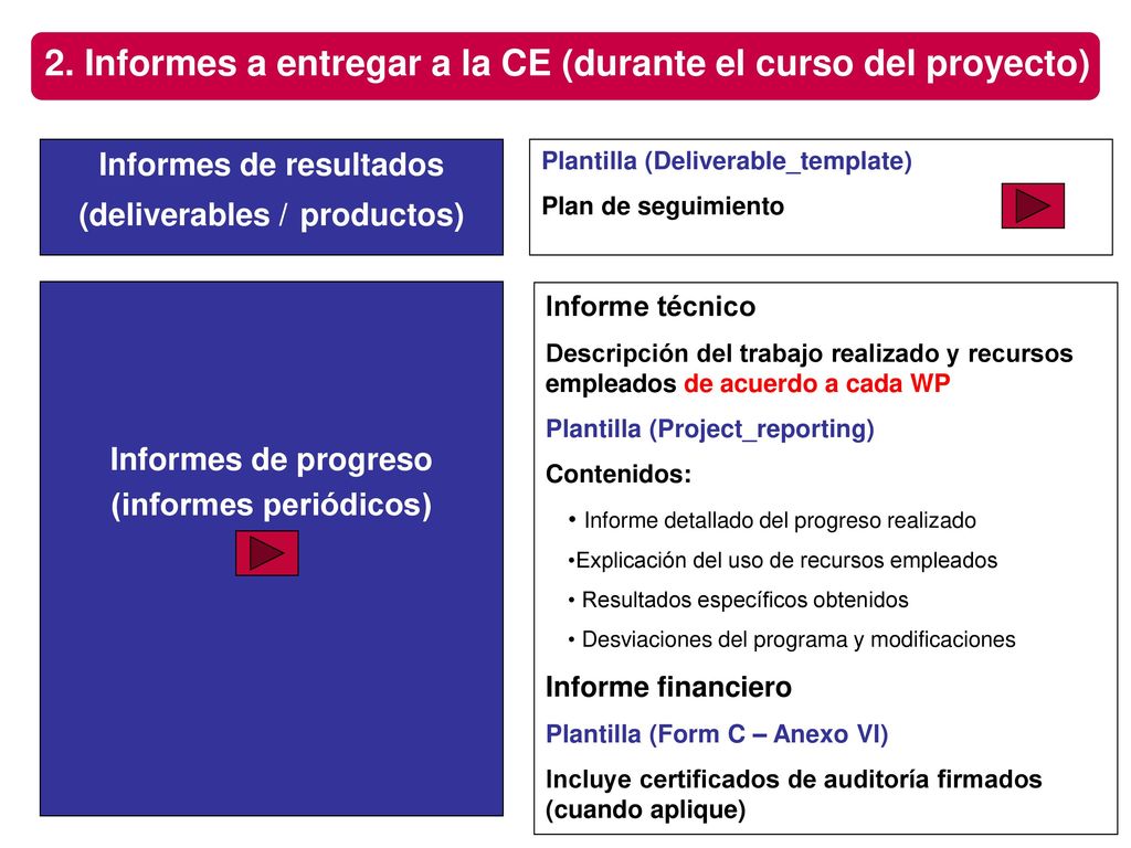 2. Informes a entregar a la CE (durante el curso del proyecto)
