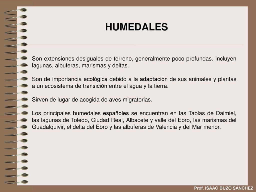 HUMEDALES Son extensiones desiguales de terreno, generalmente poco profundas. Incluyen lagunas, albuferas, marismas y deltas.