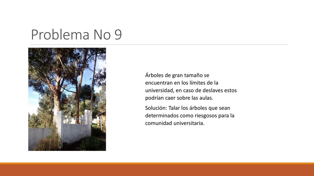 Problema No 9 Árboles de gran tamaño se encuentran en los límites de la universidad, en caso de deslaves estos podrían caer sobre las aulas.