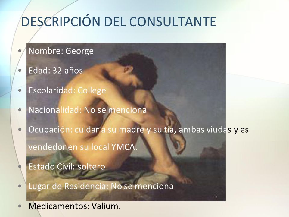 DESCRIPCIÓN DEL CONSULTANTE