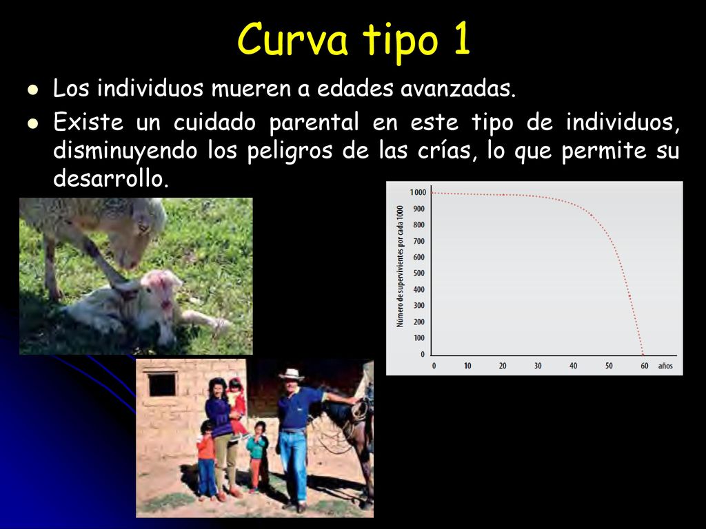 Curva tipo 1 Los individuos mueren a edades avanzadas.