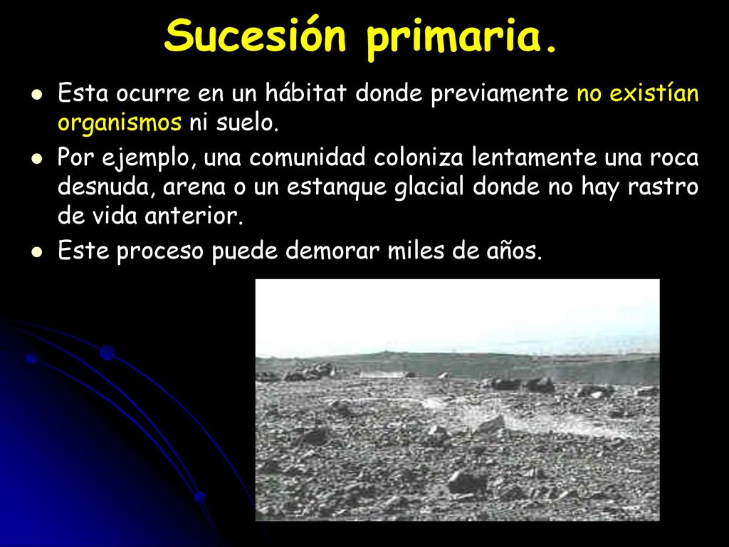 Sucesión primaria. Esta ocurre en un hábitat donde previamente no existían organismos ni suelo.