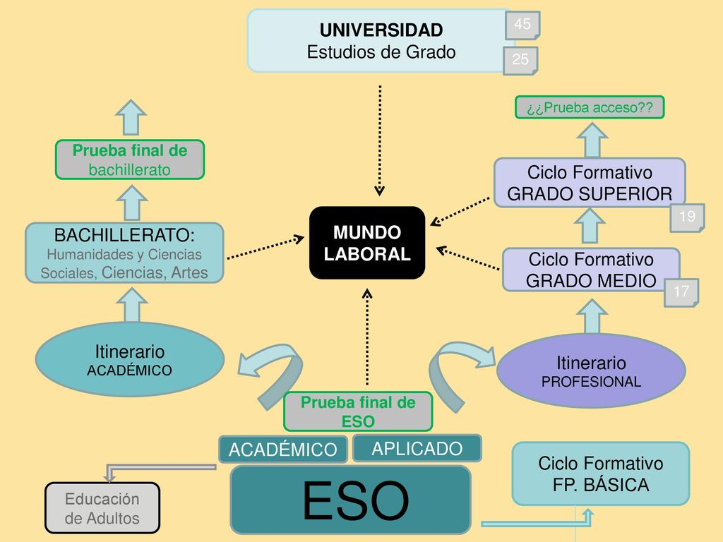 ESO UNIVERSIDAD Estudios de Grado Ciclo Formativo GRADO SUPERIOR