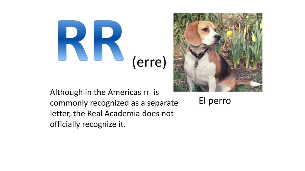 RR (erre) Although in the Americas rr is commonly recognized as a separate letter, the Real Academia does not officially recognize it.