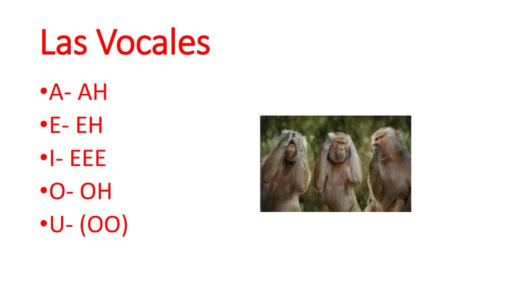 Las Vocales A- AH E- EH I- EEE O- OH U- (OO)
