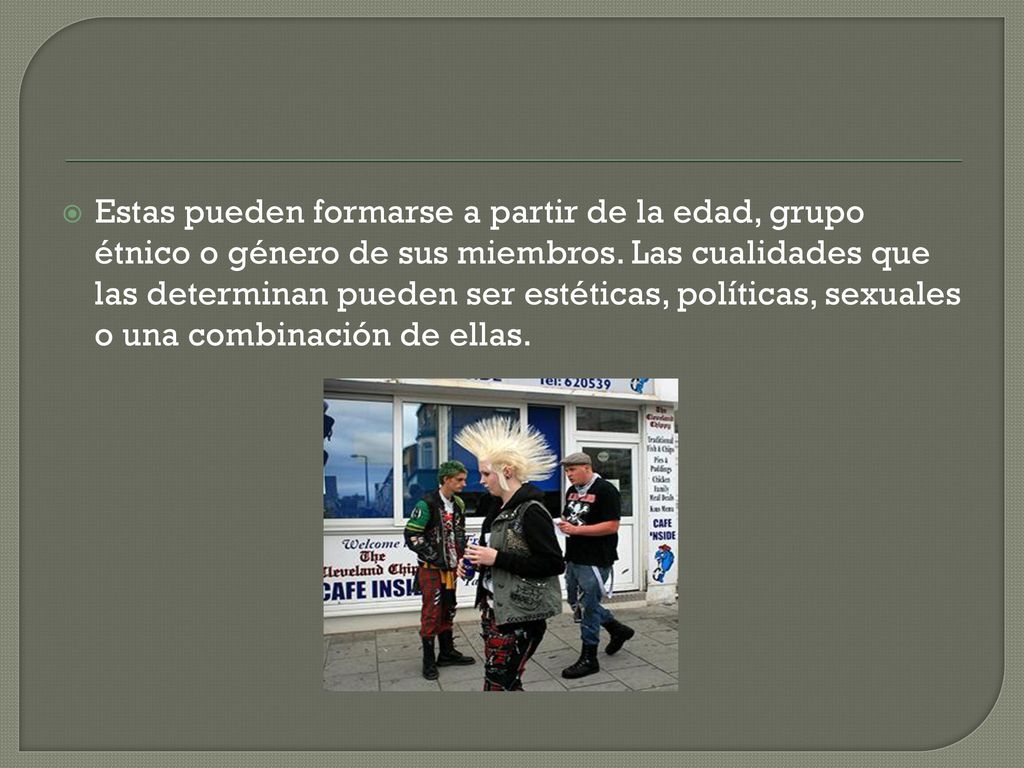 Estas pueden formarse a partir de la edad, grupo étnico o género de sus miembros.