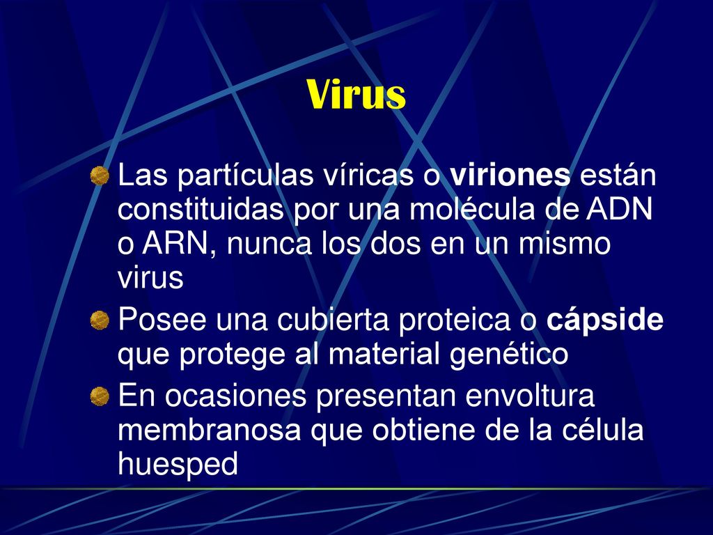 Virus Las partículas víricas o viriones están constituidas por una molécula de ADN o ARN, nunca los dos en un mismo virus.