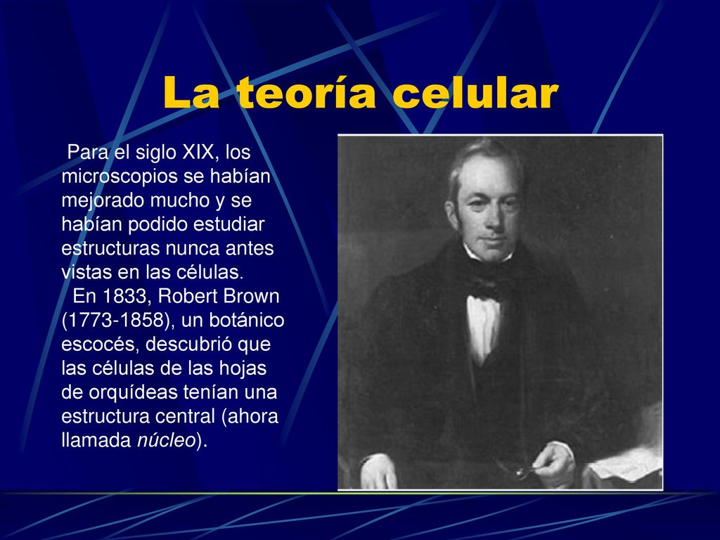 La teoría celular Para el siglo XIX, los microscopios se habían
