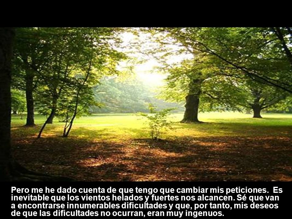 Pero me he dado cuenta de que tengo que cambiar mis peticiones