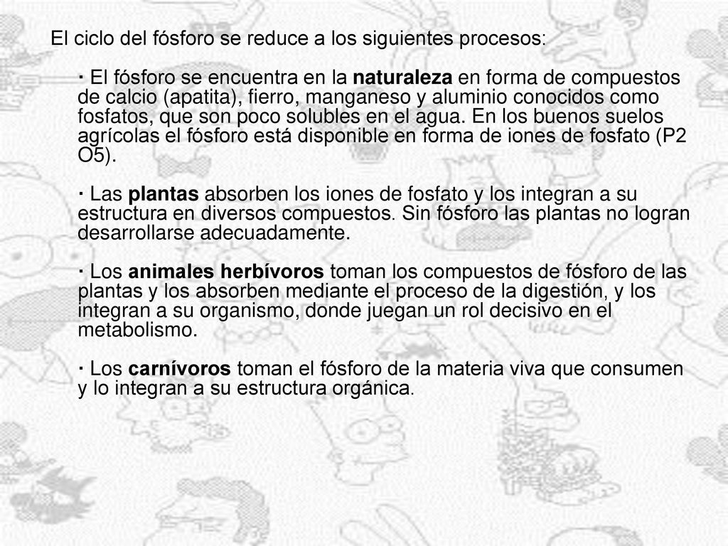 El ciclo del fósforo se reduce a los siguientes procesos: · El fósforo se encuentra en la naturaleza en forma de compuestos de calcio (apatita), fierro, manganeso y aluminio conocidos como fosfatos, que son poco solubles en el agua.
