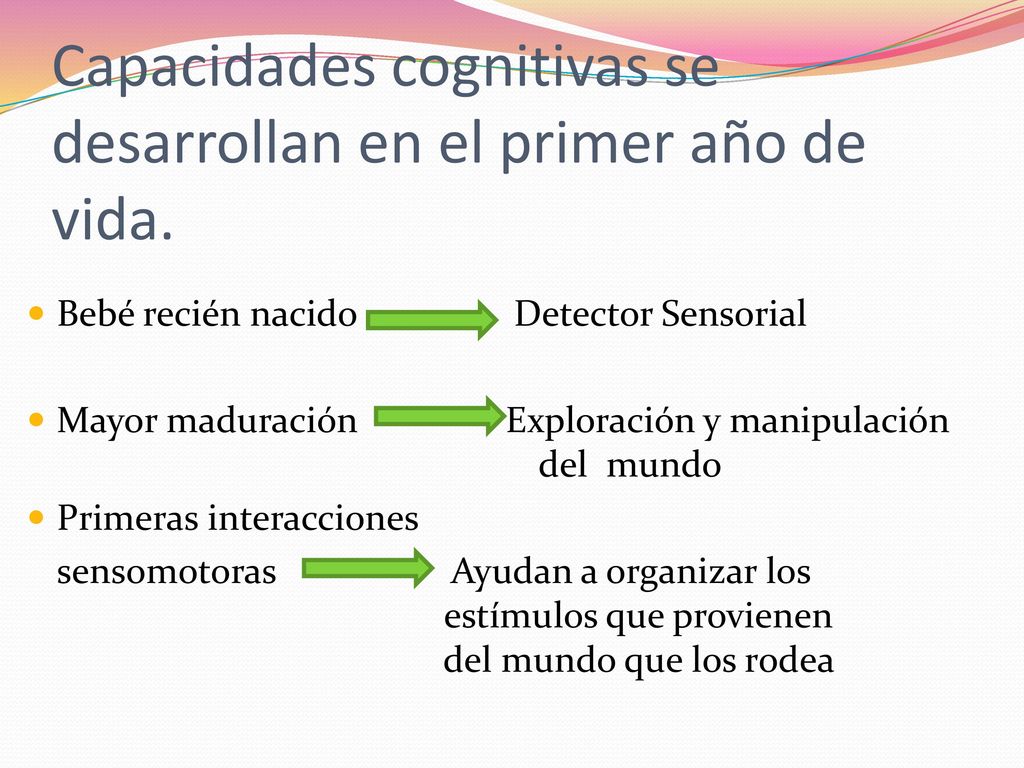 Capacidades cognitivas se desarrollan en el primer año de vida.