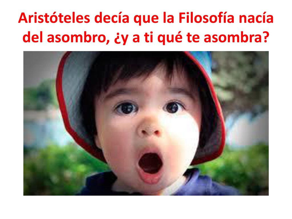 Aristóteles decía que la Filosofía nacía del asombro, ¿y a ti qué te asombra