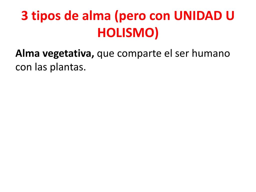 3 tipos de alma (pero con UNIDAD U HOLISMO)