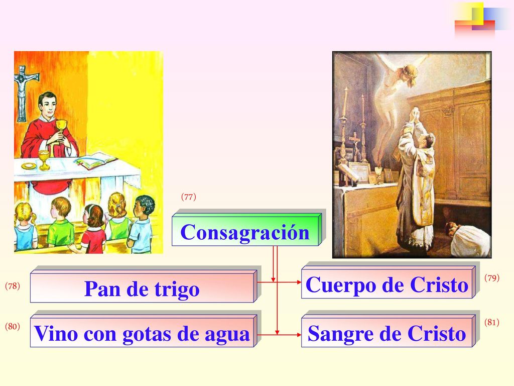 Consagración Cuerpo de Cristo Pan de trigo Vino con gotas de agua