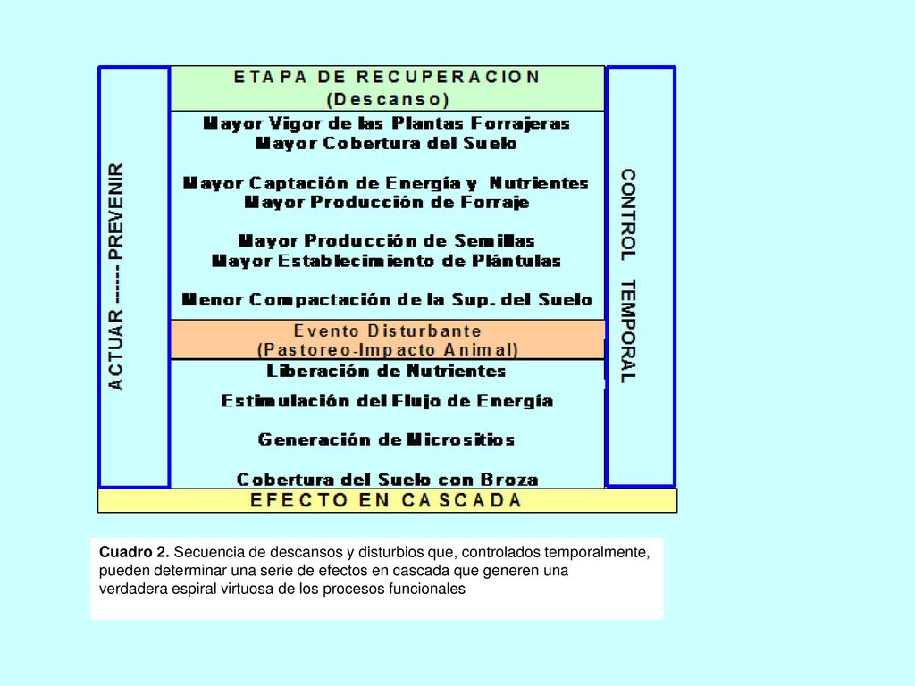 Cuadro 2. Secuencia de descansos y disturbios que, controlados temporalmente,