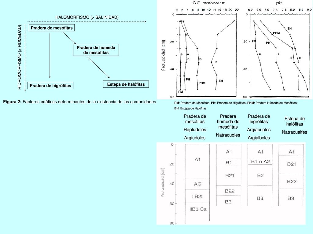Figura 2: Factores edáficos determinantes de la existencia de las comunidades