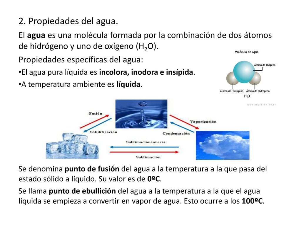 2. Propiedades del agua. El agua es una molécula formada por la combinación de dos átomos de hidrógeno y uno de oxígeno (H2O).