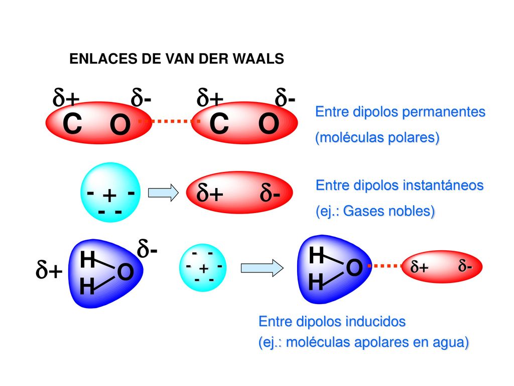 C O d+ d- + - d+ d- - - H O d- + d+ - ENLACES DE VAN DER WAALS