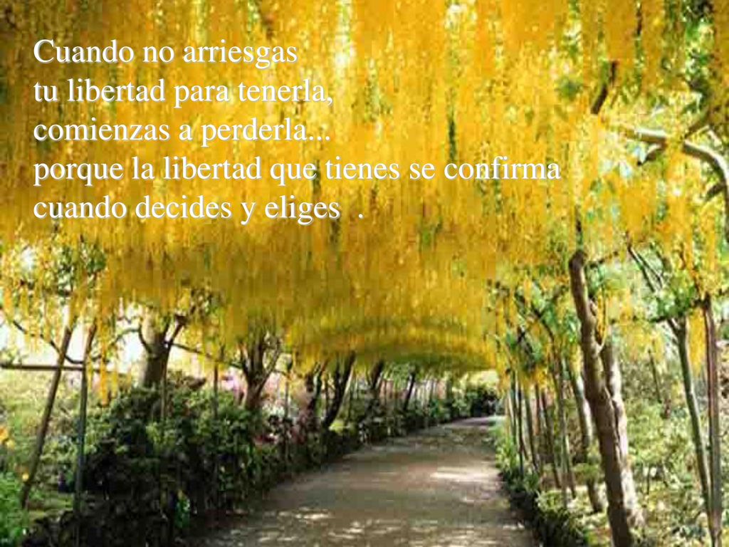 Cuando no arriesgas tu libertad para tenerla, comienzas a perderla