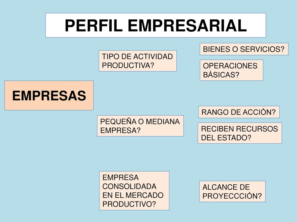 PERFIL EMPRESARIAL EMPRESAS BIENES O SERVICIOS TIPO DE ACTIVIDAD