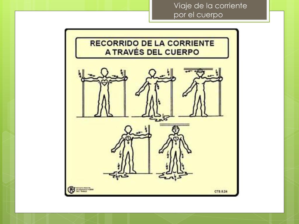 Viaje de la corriente por el cuerpo