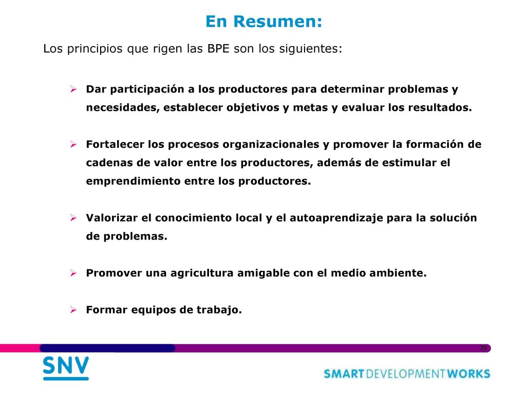 En Resumen: Los principios que rigen las BPE son los siguientes: