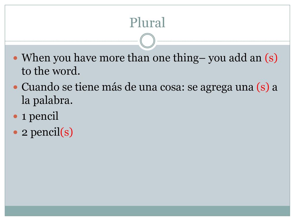 Plural When you have more than one thing– you add an (s) to the word.