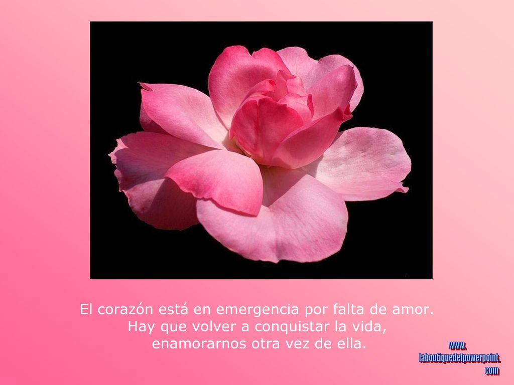 El corazón está en emergencia por falta de amor