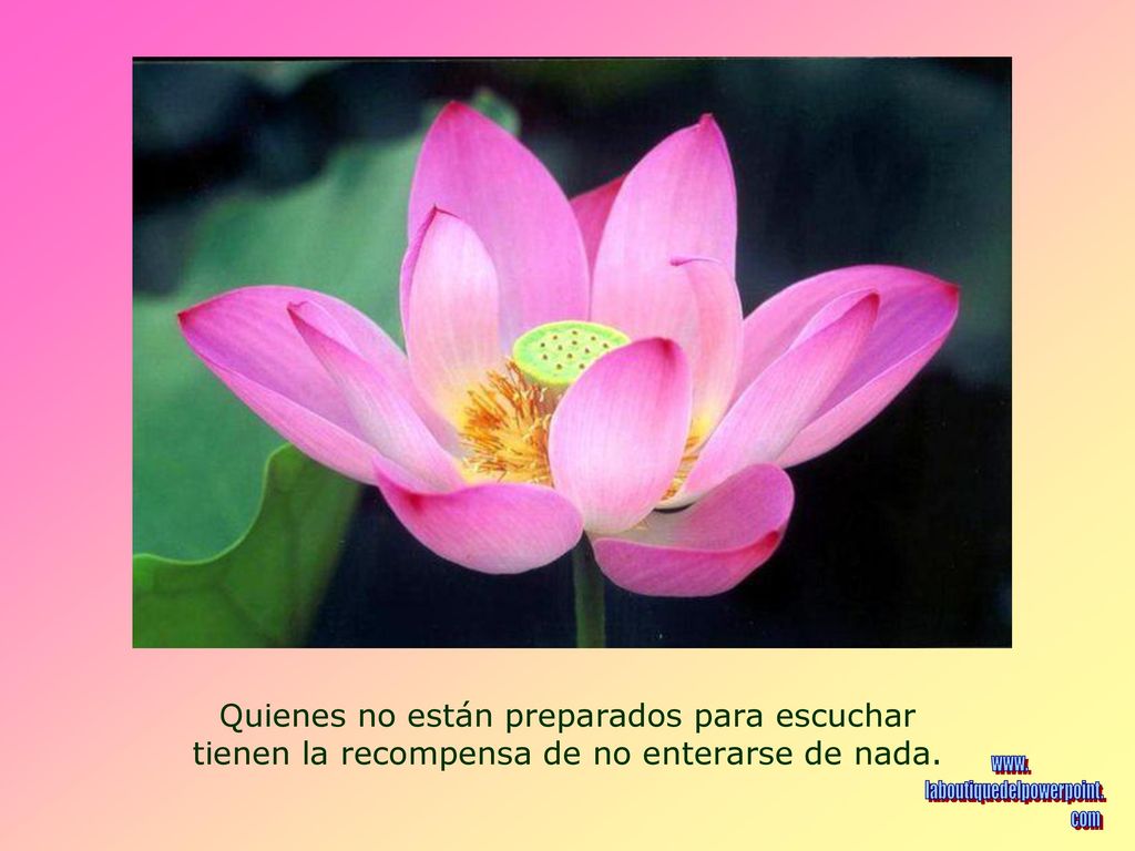 Quienes no están preparados para escuchar tienen la recompensa de no enterarse de nada.