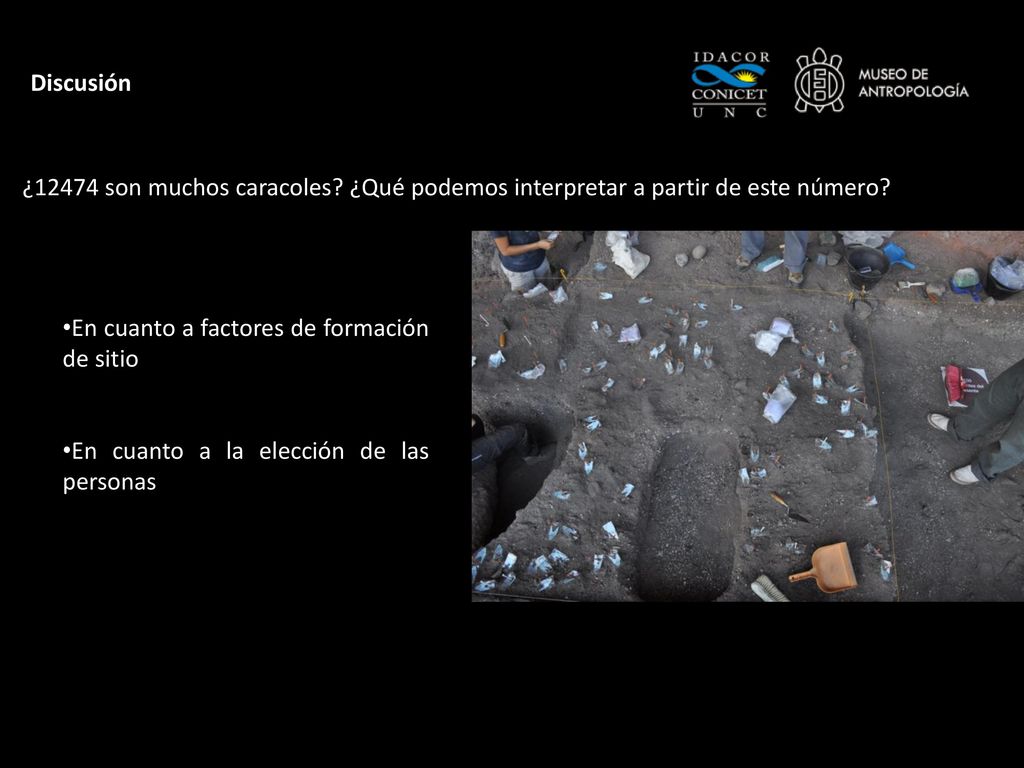 Discusión ¿12474 son muchos caracoles ¿Qué podemos interpretar a partir de este número En cuanto a factores de formación de sitio.
