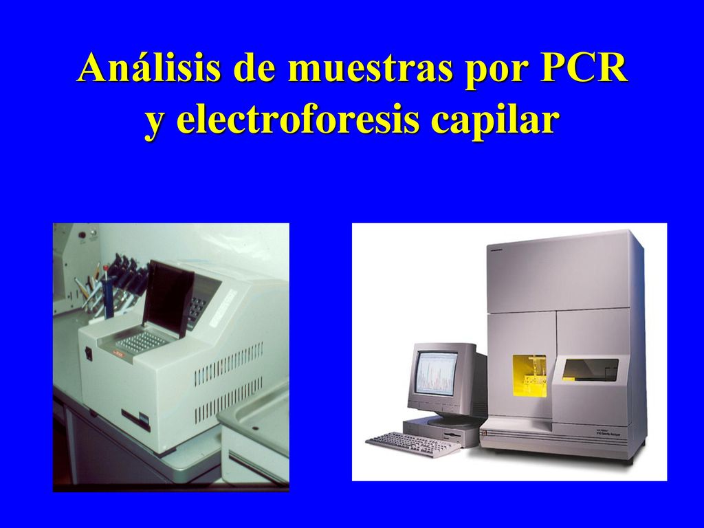 Análisis de muestras por PCR y electroforesis capilar