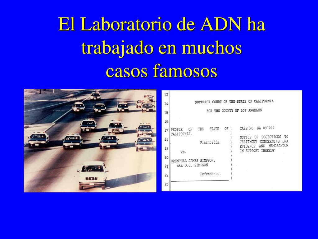 El Laboratorio de ADN ha trabajado en muchos casos famosos