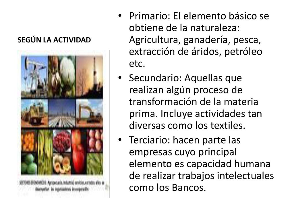 SEGÚN LA ACTIVIDAD Primario: El elemento básico se obtiene de la naturaleza: Agricultura, ganadería, pesca, extracción de áridos, petróleo etc.