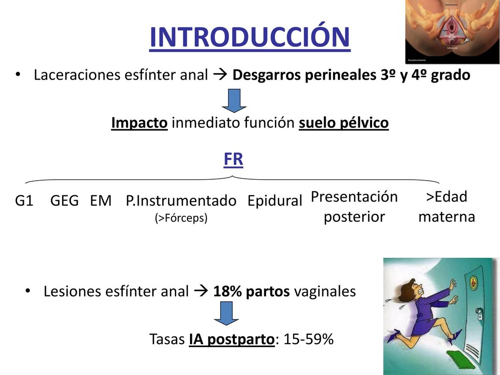 INTRODUCCIÓN Laceraciones esfínter anal  Desgarros perineales 3º y 4º grado. Impacto inmediato función suelo pélvico.