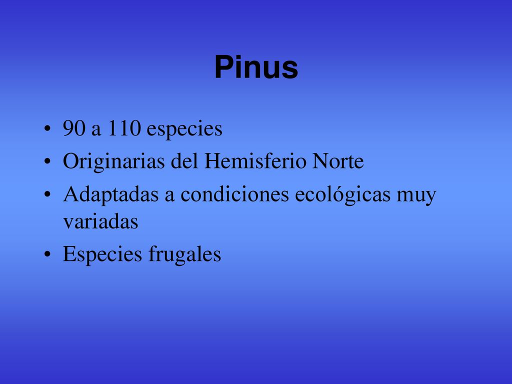 Pinus 90 a 110 especies Originarias del Hemisferio Norte