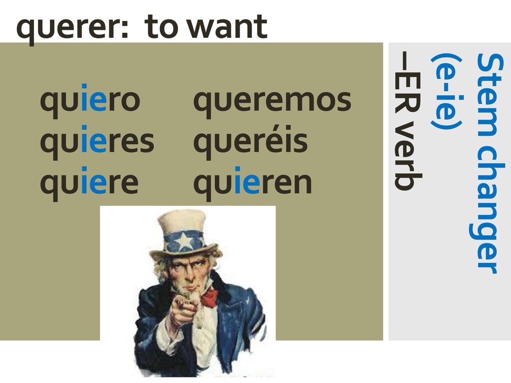 querer: to want quiero queremos quieres queréis quiere quieren Stem changer (e-ie) –ER verb